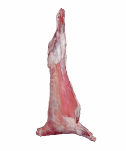 Kuzu Karkas